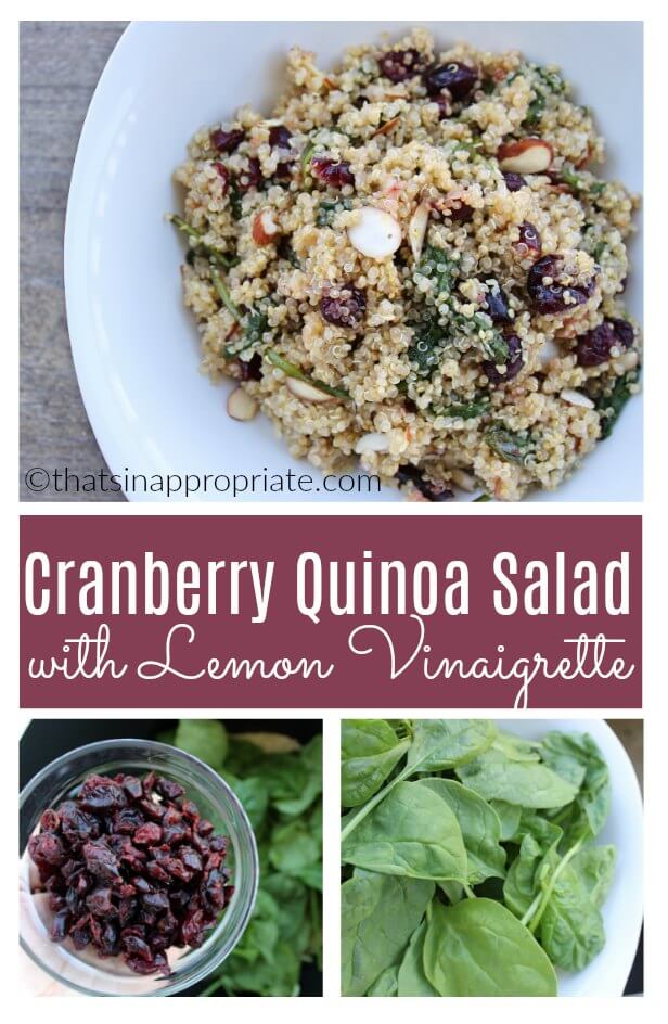 This Cranberry Quinoa Salad with Lemon Vinaigrette is the perfect dinner idea for a light and healthy dinner. Add chicken to it to make it a heartier meal idea, or keep it easy and use it as a summer recipe or light side dish. This recipe is one that uses cranberries, spinach, and a light dressing that will make you want to make it over and over again. #cranberryquinoasalad #quinoa #easyrecipes #lightrecipes #healthyrecipes #healthydinneridea #dinner #quinoarecipe This Cranberry Quinoa Salad with Lemon Vinaigrette is the perfect dinner idea for a light and healthy dinner. Add chicken to it to make it a heartier meal idea, or keep it easy and use it as a summer recipe or light side dish. This recipe is one that uses cranberries, spinach, and a light dressing that will make you want to make it over and over again. #cranberryquinoasalad #quinoa #easyrecipes #lightrecipes #healthyrecipes #healthydinneridea #dinner #quinoarecipe