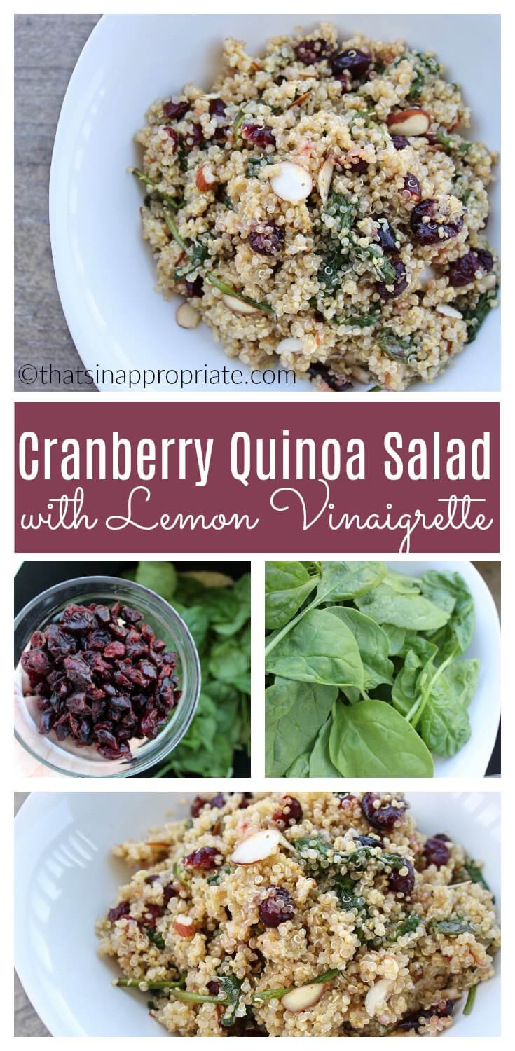 Cranberry Quinoa Salad with Lemon Vinaigrette