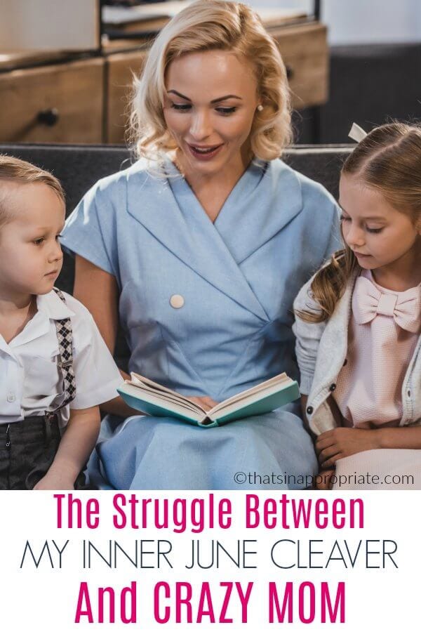 All moms struggle with keeping it together and losing it like a crazy mom. We all want the picture perfect picnic and kids in tow, but it doesn't always happen that way. This honest, real look at a day in the life of motherhood will have you laughing it's so funny. #parenting #momlife #funny #junecleaver #motherhood #parenthood