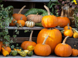 fall decorating