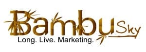 bambusky-logo-sourse-hi-resolusion-1024x366