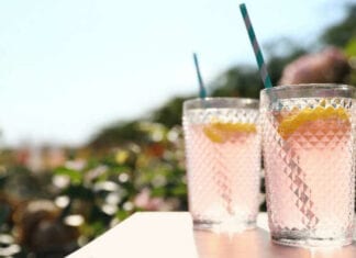 summer-activity-for-kids-fresh-lemonade-recipes