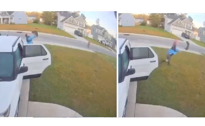 Husband Rescues Wife From Bobcat Attack In Epic Takedown All Caught On Amazing Security Footage