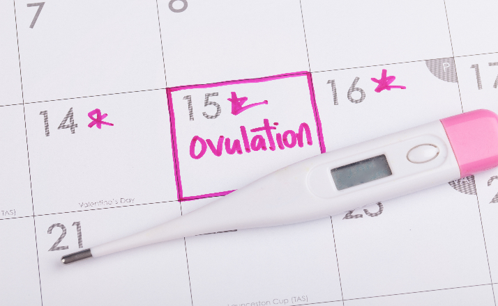 ovulation calculators