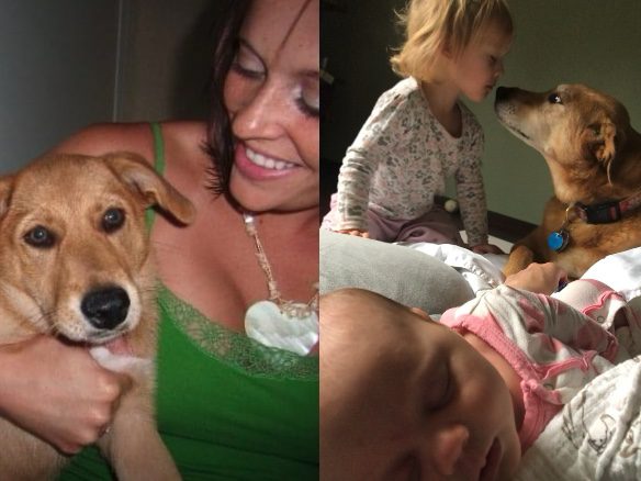 two images woman with dog, dog on bed with two babies