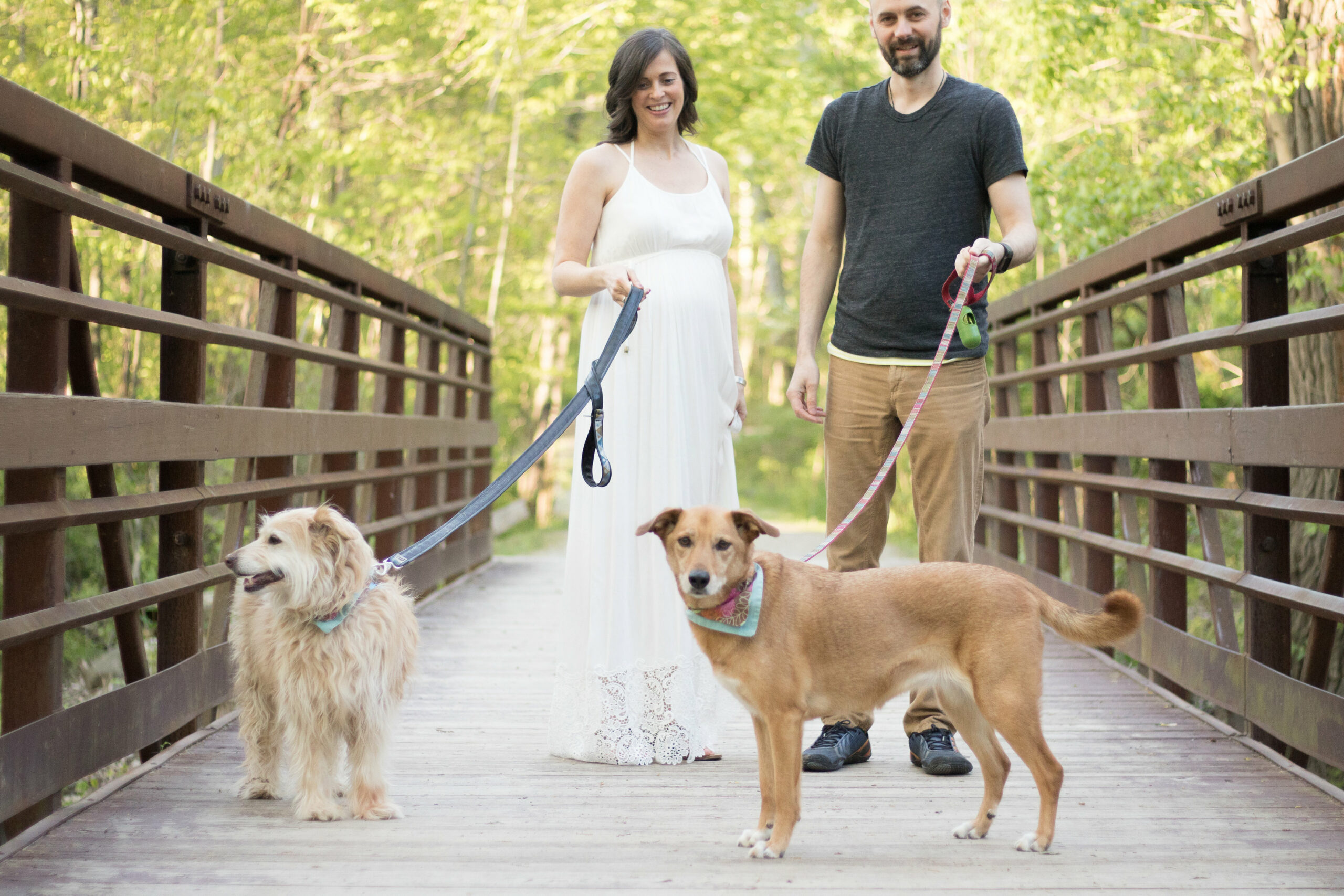 Couple with two dogs on leash