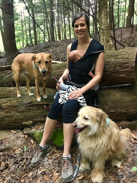 woman on a hike with baby in carrier and two dogs