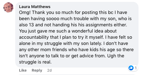 Screenshot of a Facebook comment by Laura Matthews