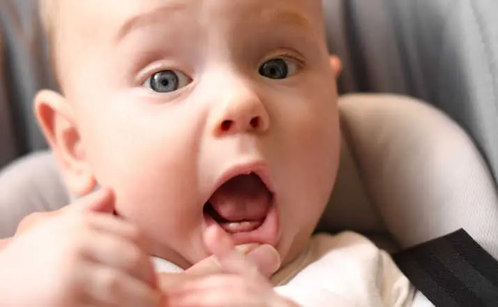 The first babies teeth. The lower front teeth (the lower central incisors). Teething