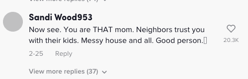 Screenshot of a comment on @themessymama4's TikTok video