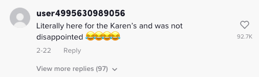 Image of text from a TikTok comment. 