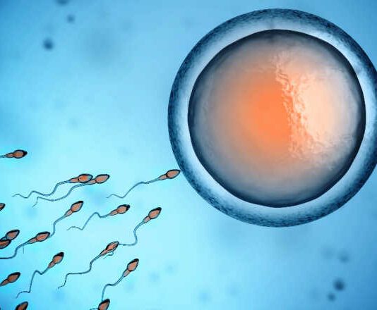sperm and egg cell