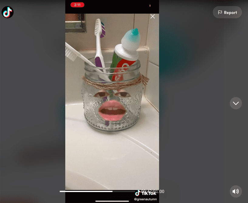 Screenshot of TikTok video: a woman's face super-imposed on a jar of toothbrushes and toothpaste. 