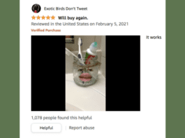 Screenshot of Amazon review of toothpaste cap called Chrome Cherry Squeeze Me