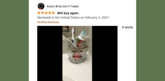 Screenshot of Amazon review of toothpaste cap called Chrome Cherry Squeeze Me