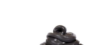 Black slime for kids, transparent funny toy.