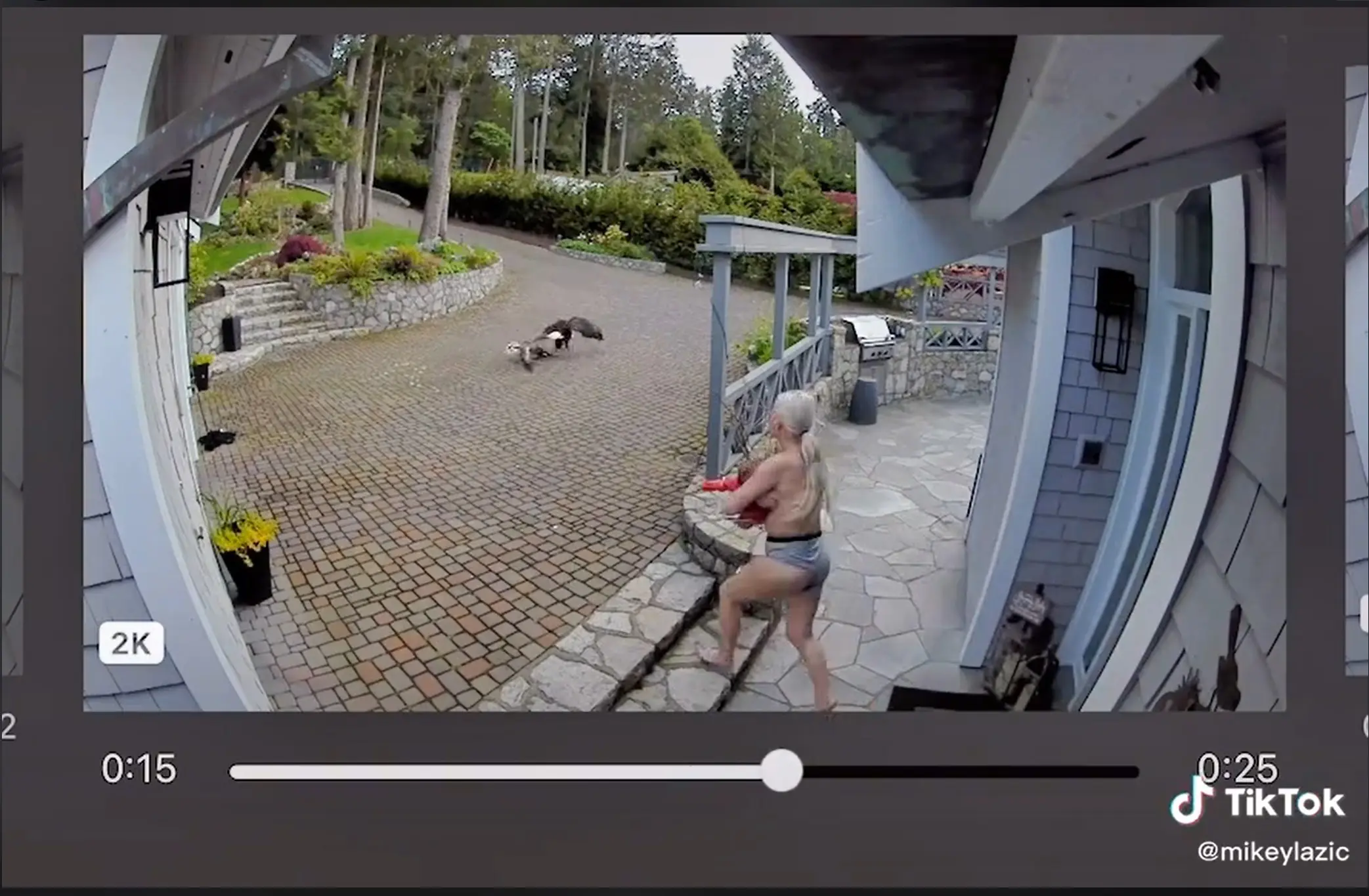 Breastfeeding Mom Rescues Pet Goose From Eagle Attack In Epic Viral Security Camera Footage