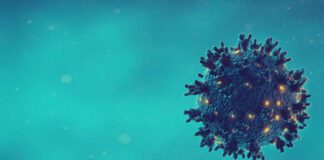 Microbiology And Virology Concept Panoramic Image.