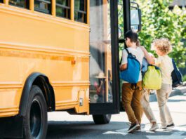 adorable little schoolboys entering school bus