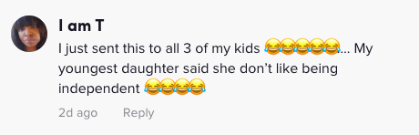 Screenshot of a TikTok comment. 