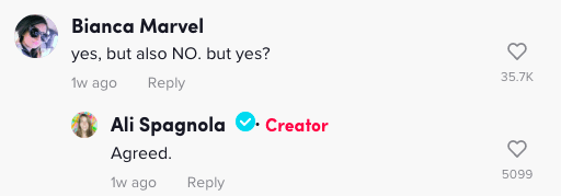 Screenshot of a comment on TikTok. 