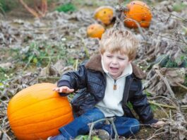 child crying in pumpkin patch as one of the family activities that aren't fun