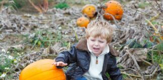 child crying in pumpkin patch as one of the family activities that aren't fun