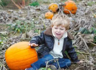 child crying in pumpkin patch as one of the family activities that aren't fun