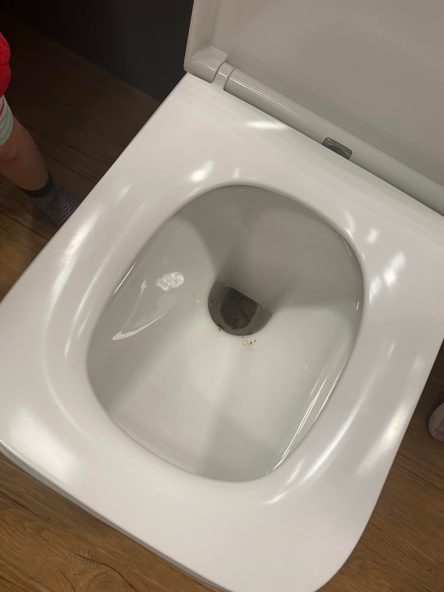 poop in toilet