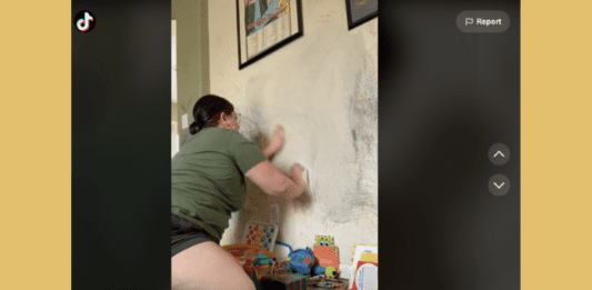 Screenshot of TikTok video by Linzy Taylor