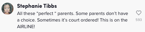 Screenshot of a TikTok comment. 