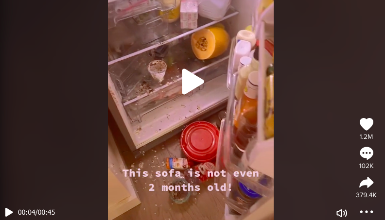 Screenshot of TikTok video shows an open fridge with food on the floor.