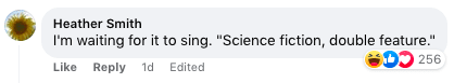 Screenshot of a Facebook comment