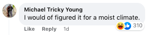 Screenshot of a Facebook comment