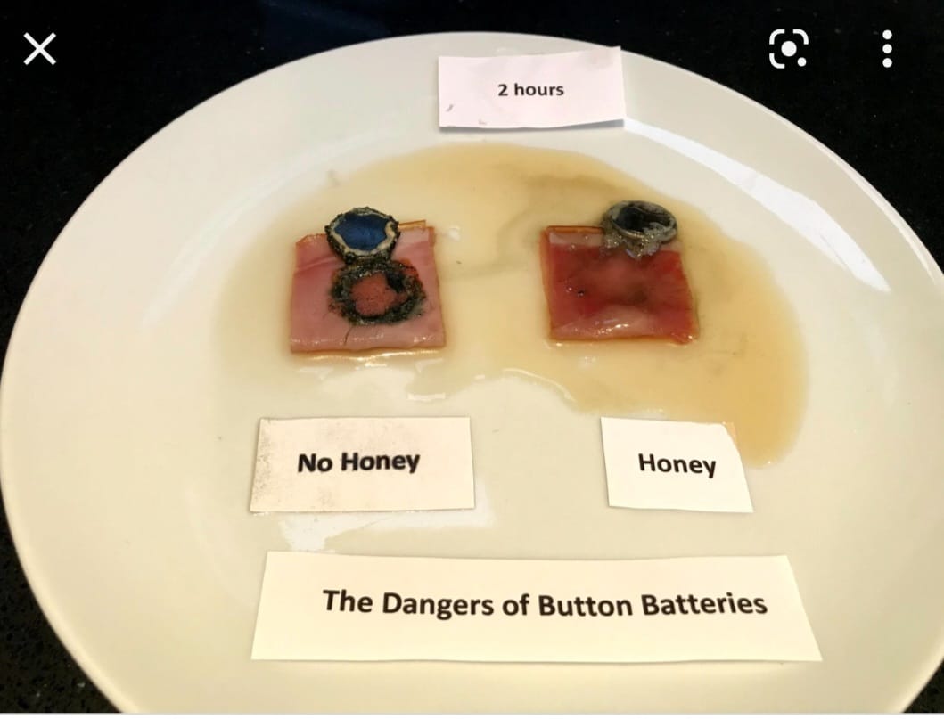 Image shows a plate with two pieces of ham; one with a battery and burn mark and the other with a honey-coated battery and no burn mark on the meat.