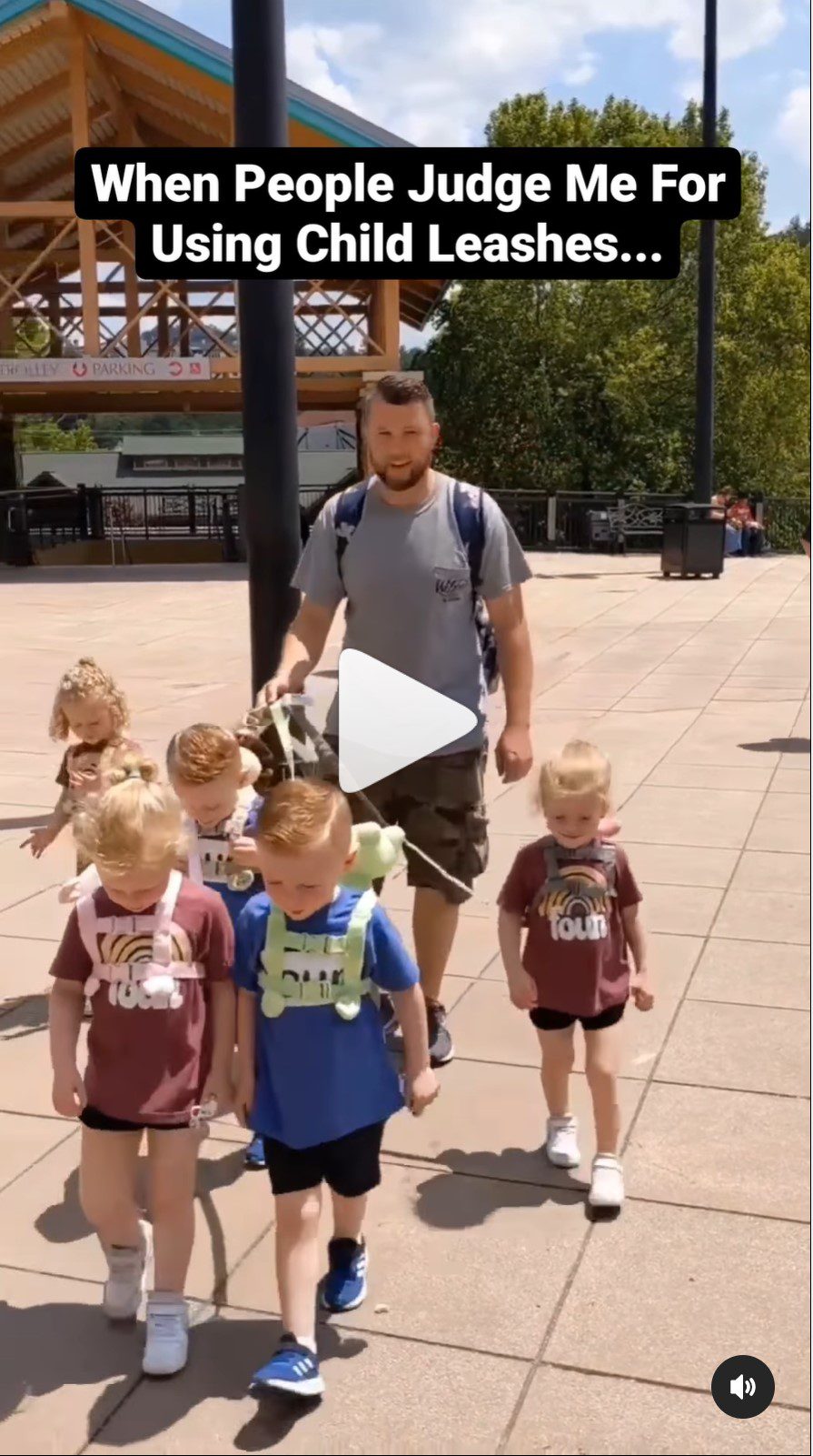 man walking quintuplets on leash