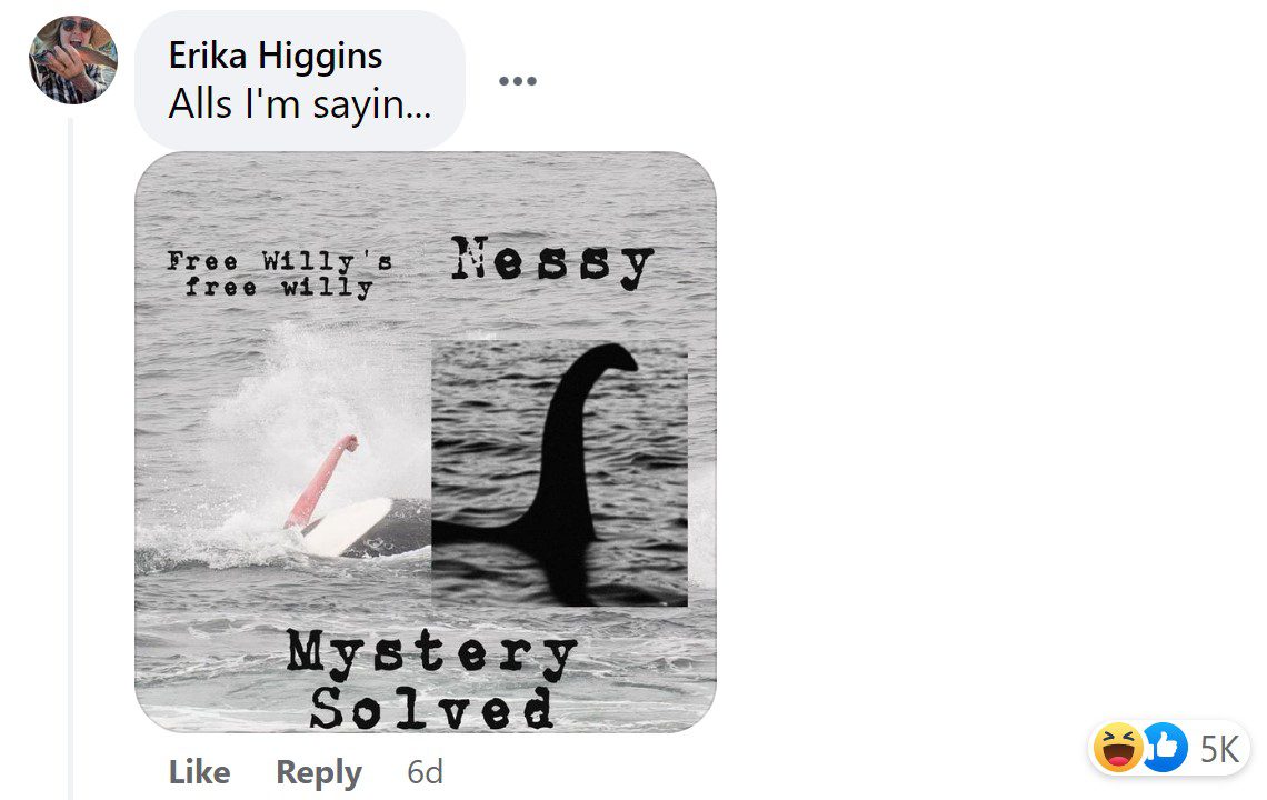 FB comment @blueoceanwhalewatch