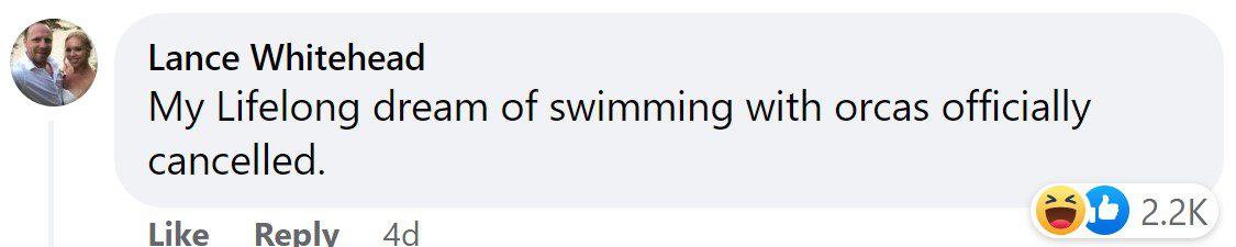 FB comment @blueoceanwhalewatch