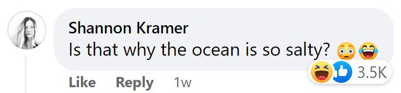 FB comment @blueoceanwhalewatch