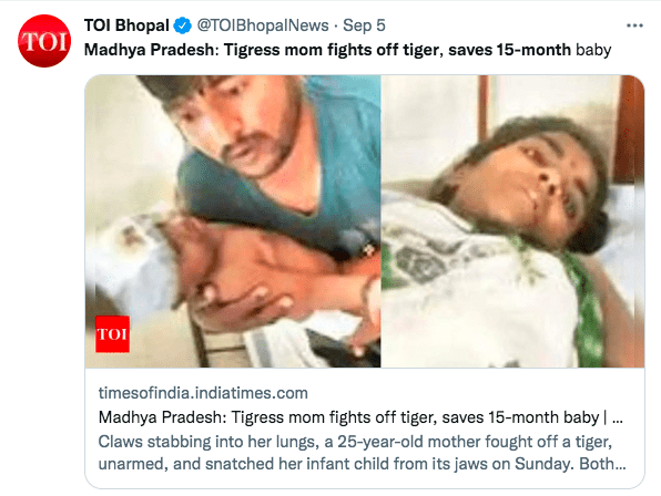 Screenshot of Tweet from Times of India showing mother, father, and child after a tiger attack.