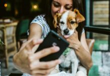 owning a dog and taking it everywhere you go
