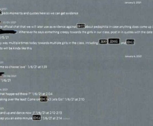 screenshot of pedo database as created by boys