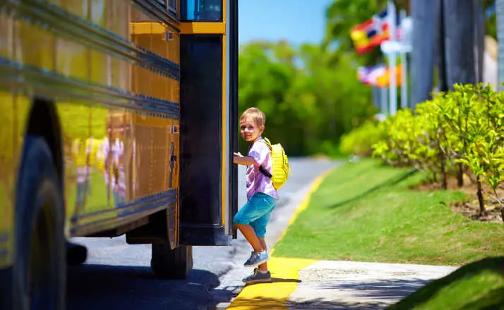 photo of small caucasian boy on curb getting onto school bus